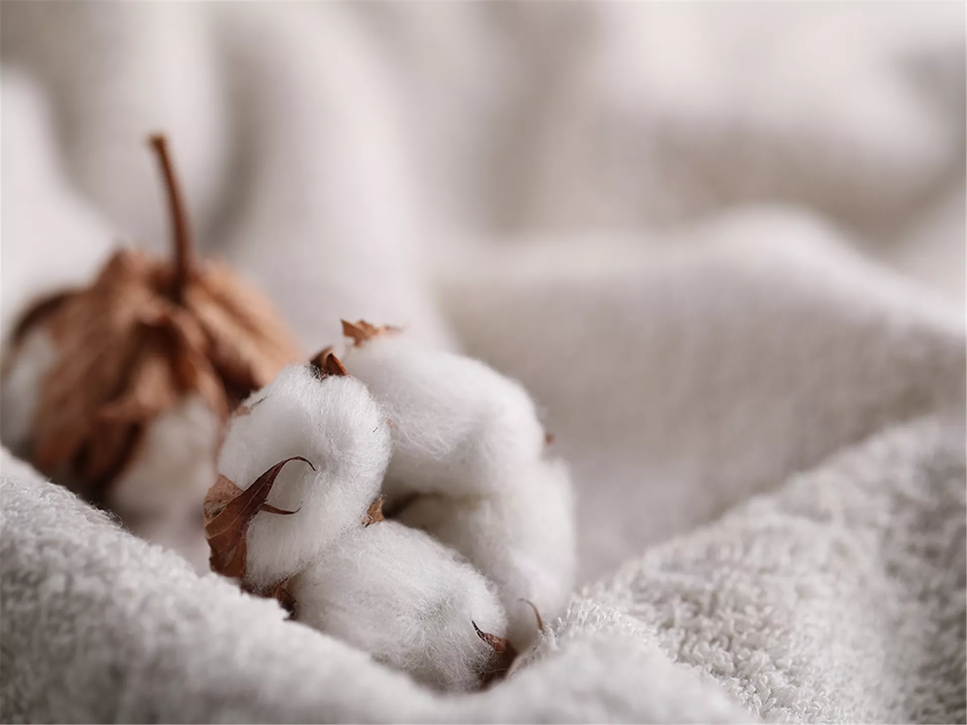 Tekstil Yardımcı Kimyasalları