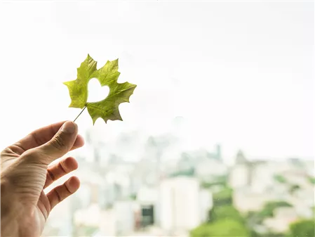 Güvenlik Sağlık Çevre